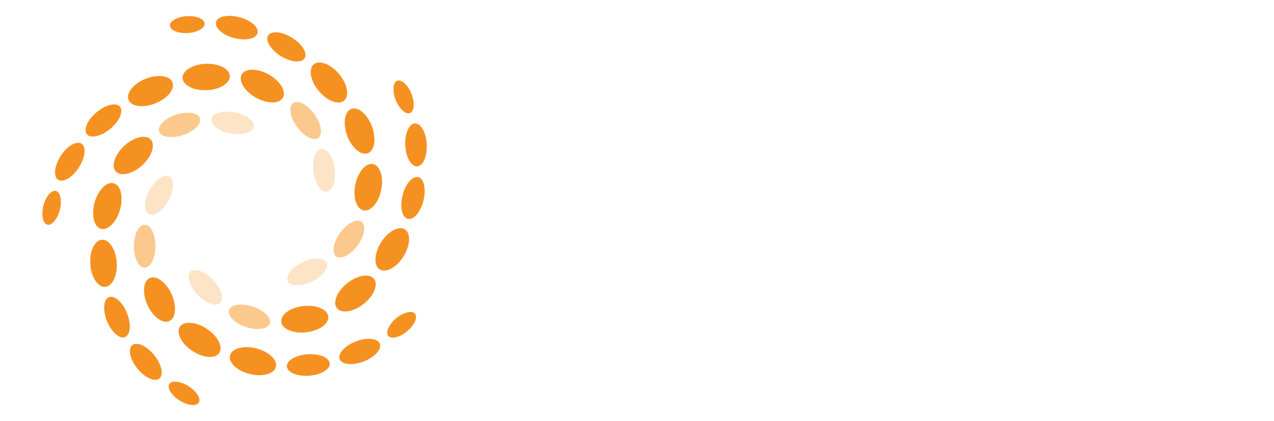 Tim Noakes foundation logo